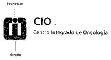 I CENTRO INTEGRADO DE ONCOLOGIA CIO