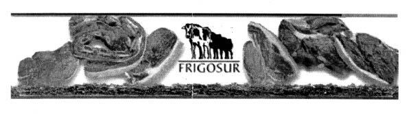 FRIGOSUR