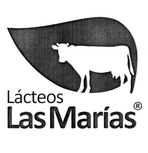 LACTEOS LAS MARIAS