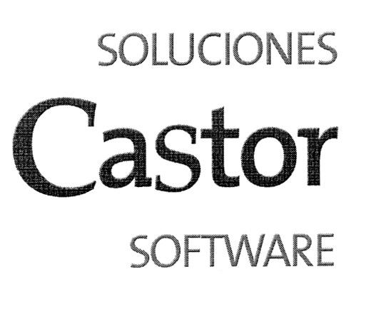 SOLUCIONES CASTOR SOFTWARE