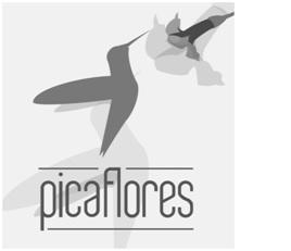 PICA FLORES