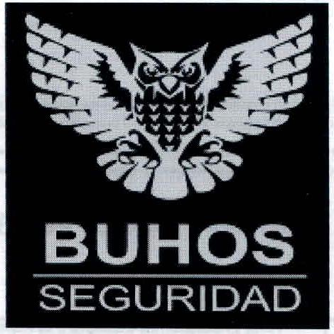 BUHOS SEGURIDAD