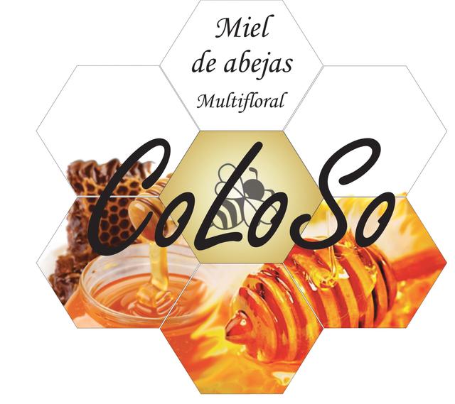 MIEL DE ABEJAS MULTIFLORAL COLOSO