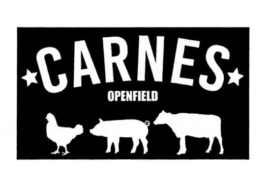 CARNES OPENFIELD