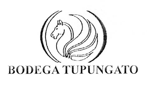 BODEGA TUPUNGATO