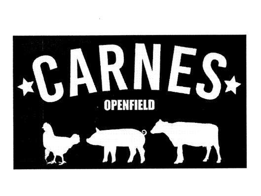 CARNES OPENFIELD