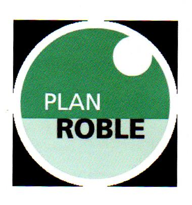 PLAN ROBLE