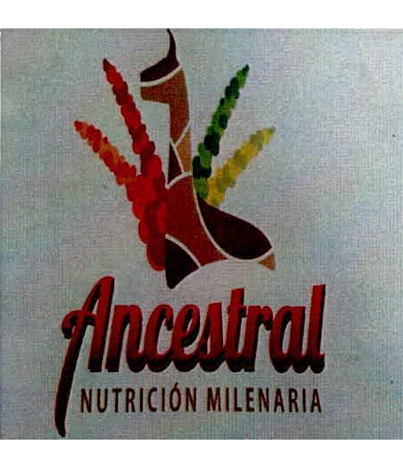 ANCESTRAL NUTRICION MILENARIA