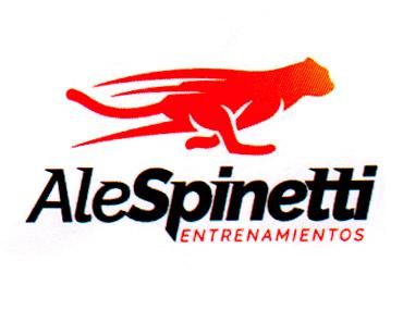 ALESPINETTI ENTRENAMIENTOS