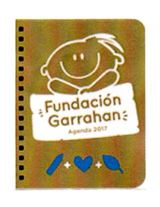 FUNDACIÓN GARRAHAN AGENDA 2017