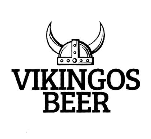 VIKINGOS BEER