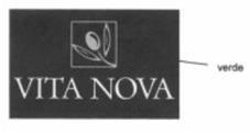 VITA NOVA