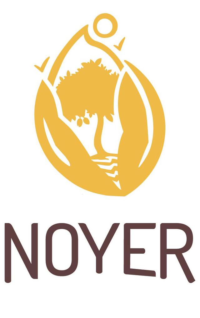 NOYER