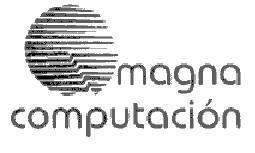 MAGNA COMPUTACION
