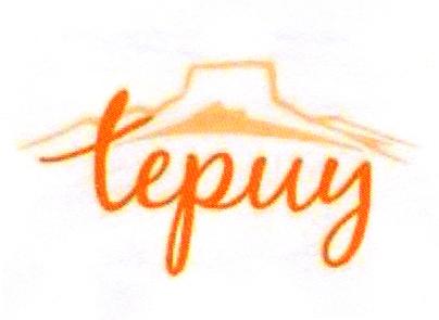 TEPUY