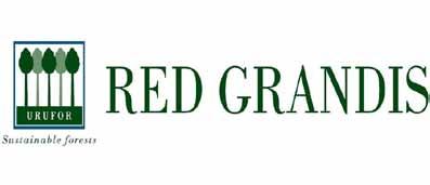 RED GRANDIS URUFOR SUSTAINABLE FORESTS