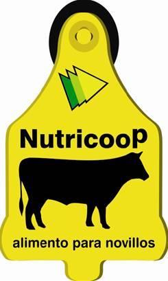 NUTRICOOP ALIMENTO PARA NOVILLOS