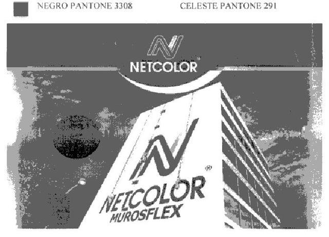 N NETCOLOR N NETCOLOR MUROSFLEX