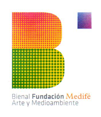 B BIENAL FUNDACION MEDIFE ARTE Y MEDIOAMBIENTE