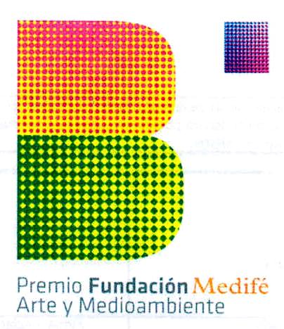 B PREMIO FUNDACION MEDIFE ARTE Y MEDIOAMBIENTE