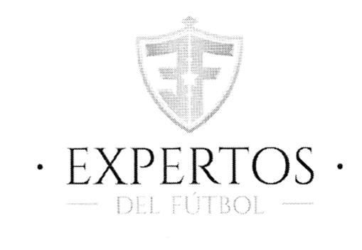 EXPERTOS DEL FÚTBOL EF