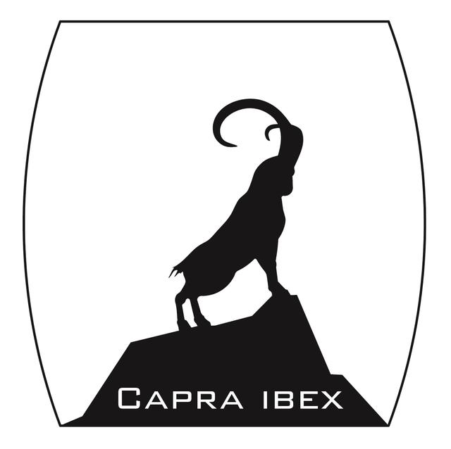 CAPRA IBEX