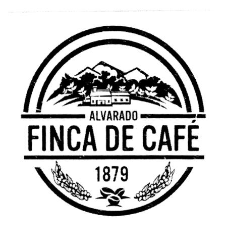 ALVARADO FINCA DE CAFÉ 1879