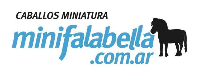 CABALLOS MINIATURA MINIFALABELLA.COM.AR