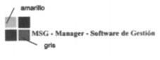 MSG - MANAGER - SOFTWARE DE GESTION