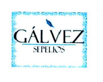 GALVEZ SEPELIOS