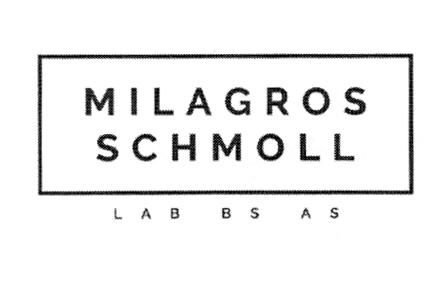 MILAGROS SCHMOLL LAB BS AS