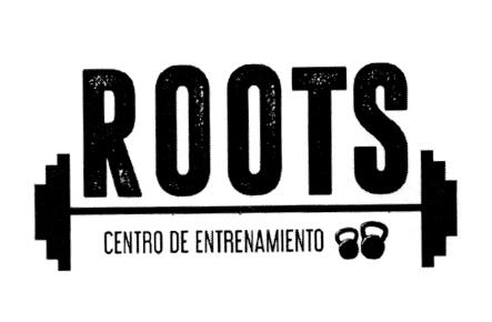 ROOTS CENTRO DE ENTRENAMIENTO