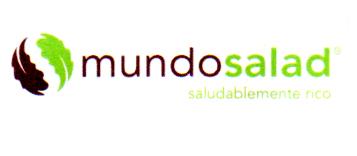 MUNDO SALAD SALUDABLEMENTE RICO