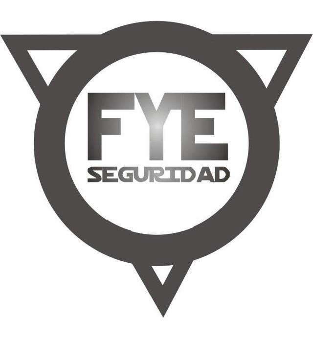 FYE SEGURIDAD