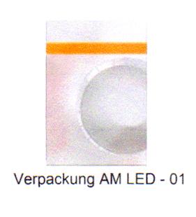 VERPACKUNG AM LED-01