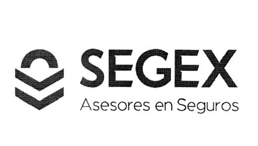 SEGEX ASESORES EN SEGUROS