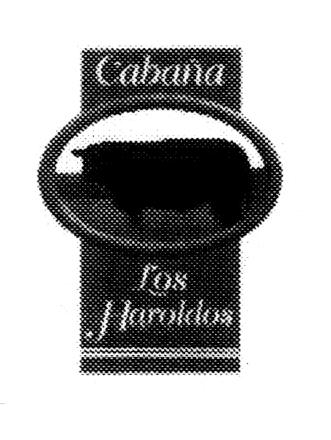 CABAÑA LOS HAROLDOS