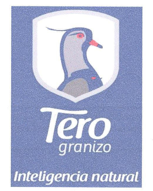 TERO GRANIZO INTELIGENCIA NATURAL