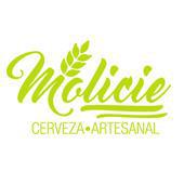 MOLICIE CERVEZA ARTESANAL