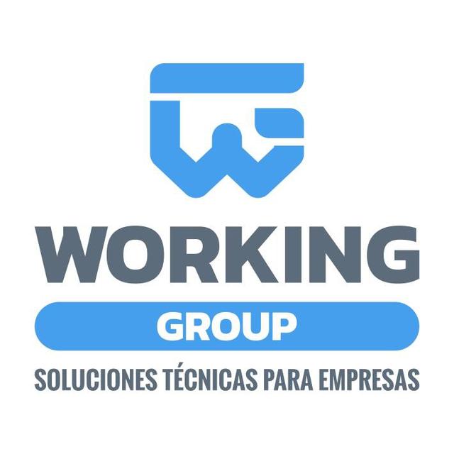 WORKING GROUP SOLUCIONES TÉCNICAS PARA EMPRESAS