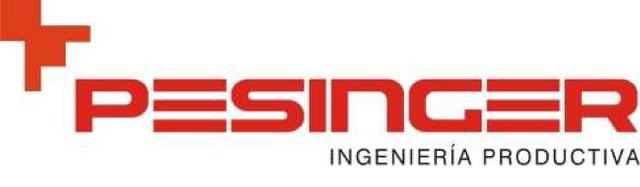 PESINGER INGENIERÍA PRODUCTIVA