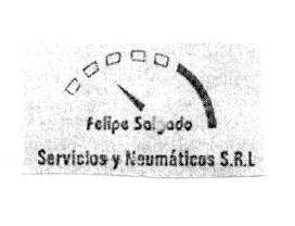 FELIPE SALGADO SERVICIOS Y NEUMÁTICOS S.R.L.