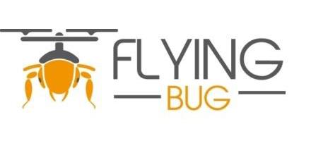 FLYINGBUG