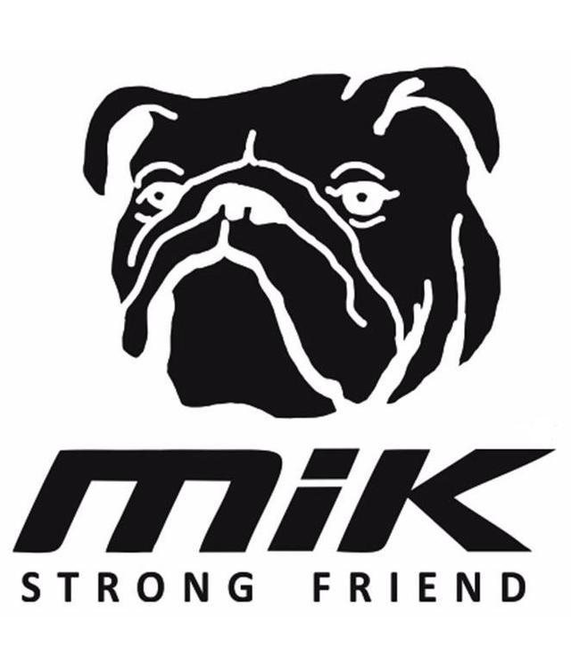 MIK STRONG FRIEND