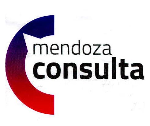 MENDOZA CONSULTA