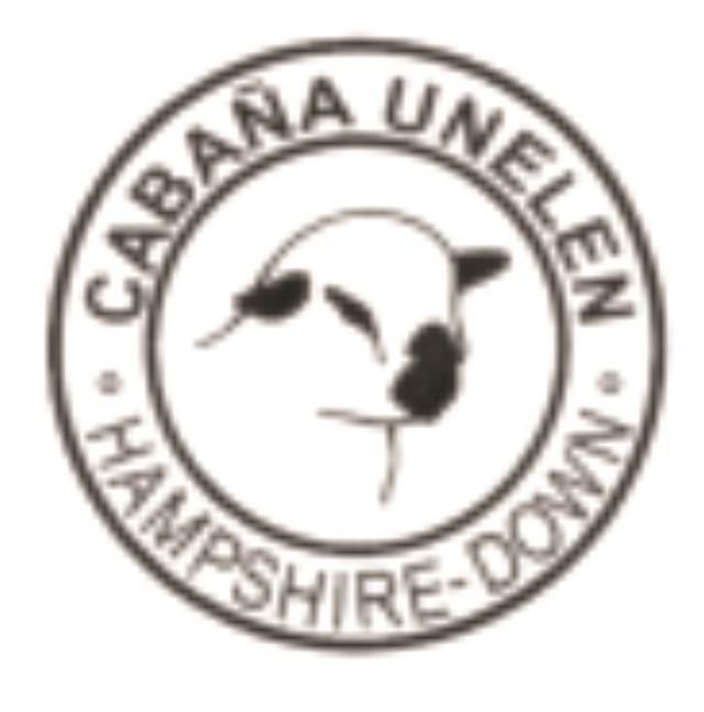 CABAÑA UNELEN-HAMPSHIRE-DOWN-