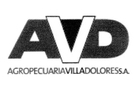 AVD AGROPECUARIA VILLA DOLORES S.A