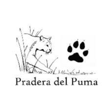 PRADERA DEL PUMA