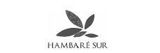 HAMBARE SUR