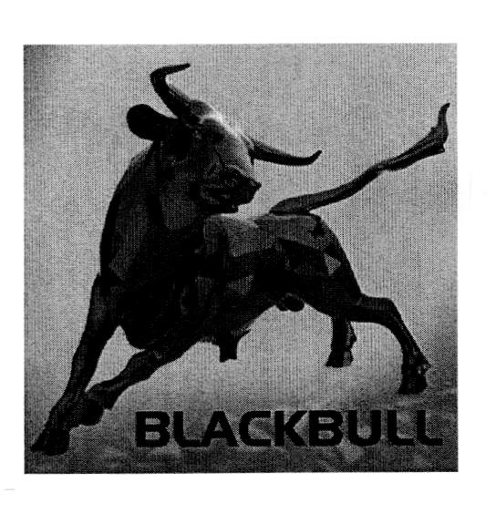 BLACKBULL